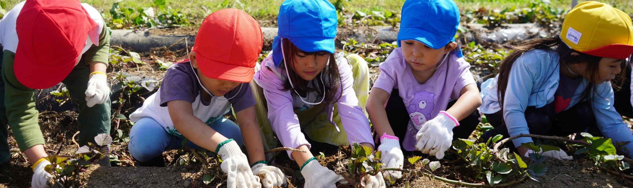 Children gardening together wearing colorful hats and gloves under the sun.