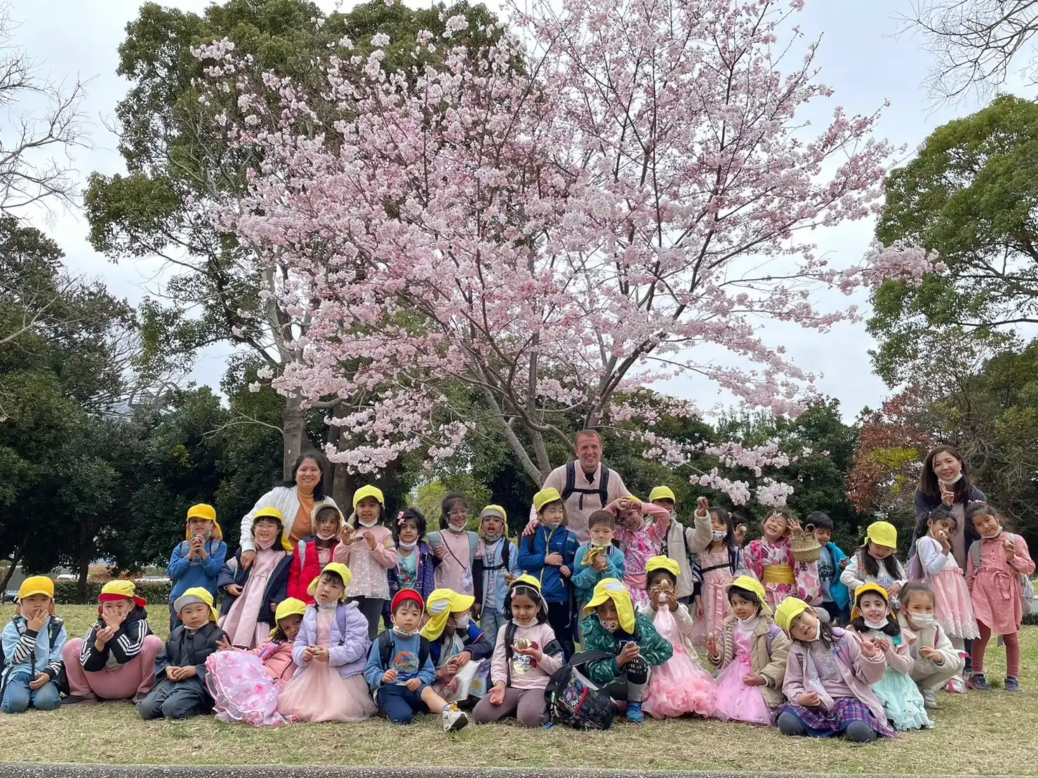 A group of children and teachers under a blooming cherry blossom tree on a spring day, wearing colorful outfits and hats.