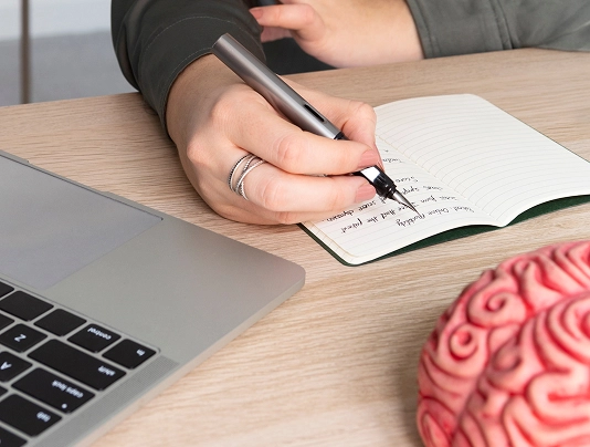 Person writing in notebook at desk with a laptop and brain model, symbolizing creativity and organization.