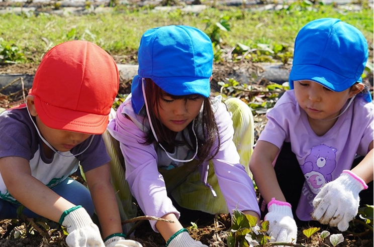 Children gardening together, wearing colorful hats and gloves, focused on planting in sunny outdoor setting.